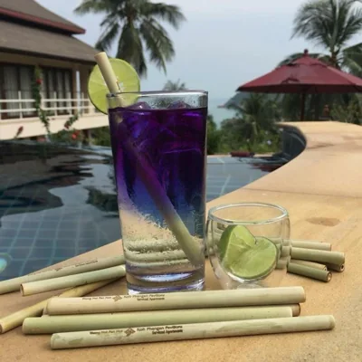 Koh Phangan Pavilions Serviced Apartments – Photos 2